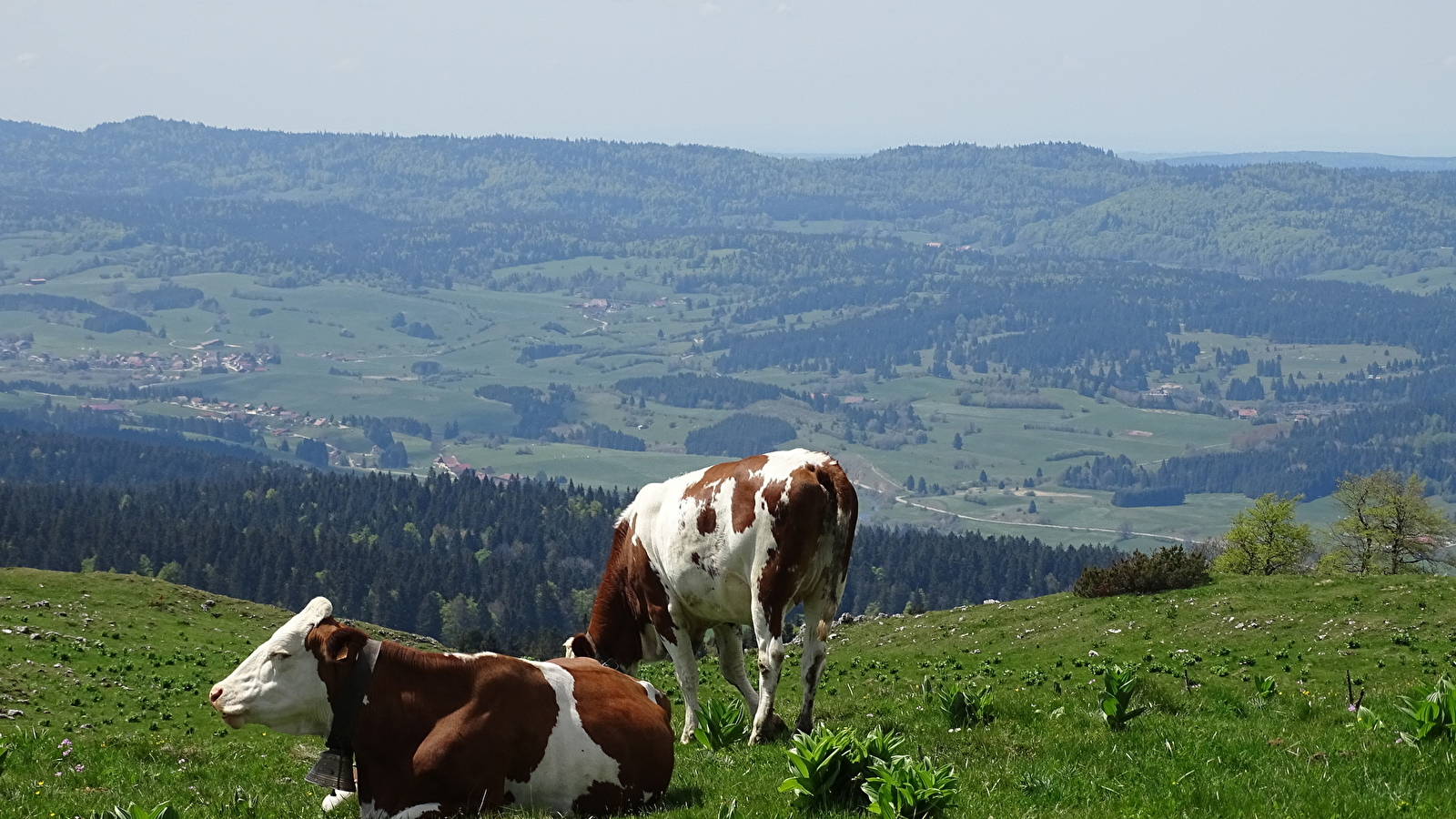 Office de Tourisme du Pays du Haut-Doubs